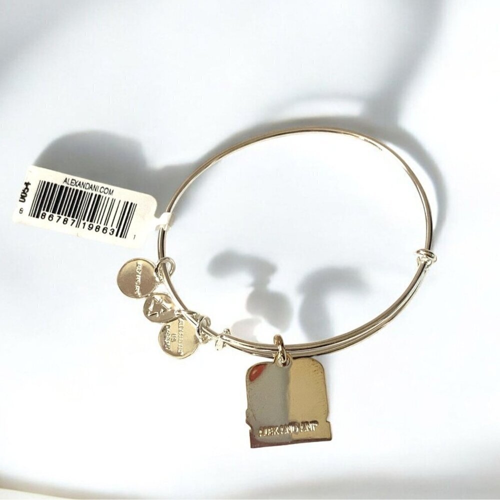 Alex And Ani 60 And Sensational Charm Bracelet Si… - image 2